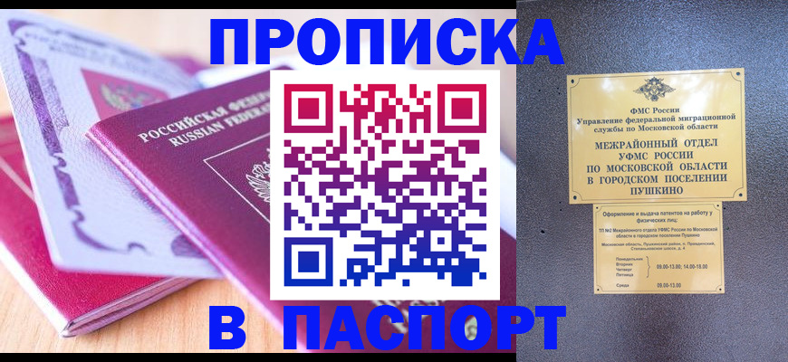 прописка законно в Новгородской области
